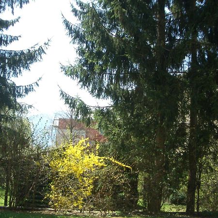 Gartenapartment Zell am See Exterior foto